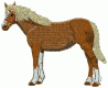 Horses26