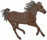Horses4