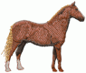 Horses5