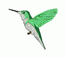 Birds14 - Click Image to Close