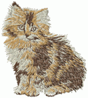 Cat 1 - Click Image to Close