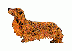Dog 29 - Click Image to Close