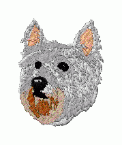 Dog 43 - Click Image to Close