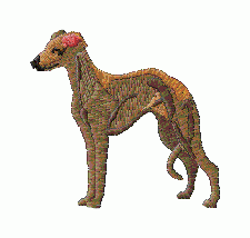 Dog 45 - Click Image to Close