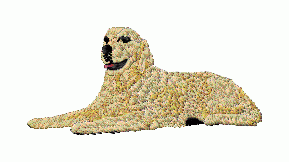 Dog 50 - Click Image to Close