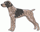 Dog 8 - Click Image to Close