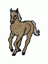 Horses22 - Click Image to Close