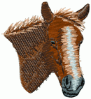 Horses43 - Click Image to Close