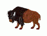 Wild 1 - Click Image to Close