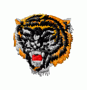 Wild 21 - Click Image to Close