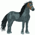 Horses41
